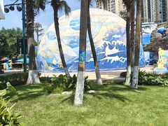 -海合安成都极地海洋公园