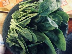 -羊大爷涮肉(亮马桥店)