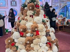 -line friends(明洞旗舰店)