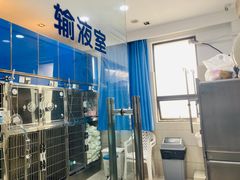 -申普宠物医院·眼科·心内科·影像科(普陀分院)