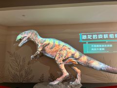 -自贡恐龙博物馆