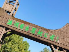 -溱湖国家湿地公园