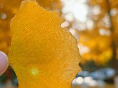 -浙江大学(紫金港校区)