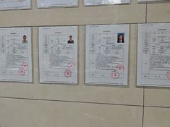 -半岛宠物医院24小时(白果林店)