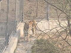 -石家庄市动物园