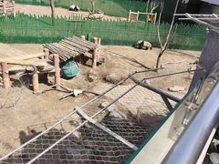 -沈阳森林动物园