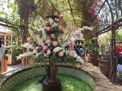 -The Grounds of Alexandria