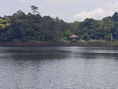 -海南热带雨林国家公园吊罗山景区