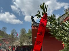 -黔灵山公园
