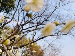 -幕燕滨江·长江观音景区