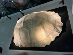 -金沙遗址博物馆
