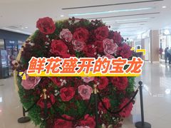 -镇江宝龙广场