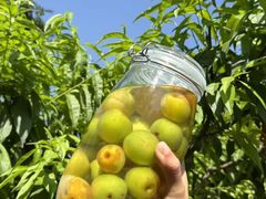 -花水湾第一村温泉大酒店