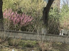 -皇家御河游(紫御湾码头)