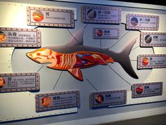 -海合安武汉极地海洋公园