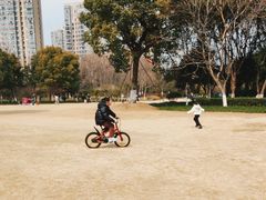 -杭州城北体育公园