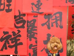 -小意思咖啡店(草桥店)