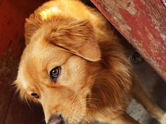 -郭师傅冰稀饭(人民路店)