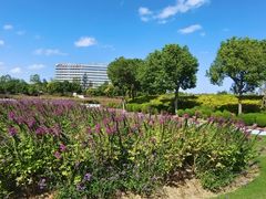 -春花秋色城市公园