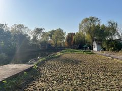 -溱湖国家湿地公园