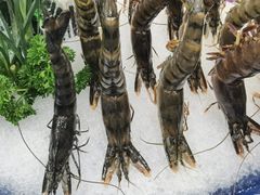-上海波特曼丽思卡尔顿酒店