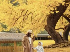 -千年银杏谷文化旅游区