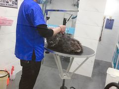 -萌兽医馆·宠物医院·猫骨科(创景店)