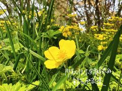 -陶然亭公园