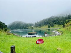 -武陵山森林公园