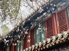 -潭柘寺景区