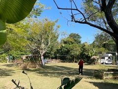 -芭厘农庄老字号·清远鸡