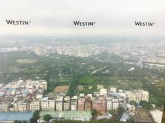 -广交会威斯汀酒店