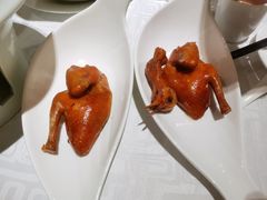 金奖芙蓉鸽-好食上(喜盈门.范城店)
