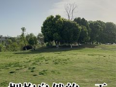 -两河城市森林公园