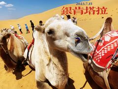 -银肯塔拉沙漠生态旅游景区
