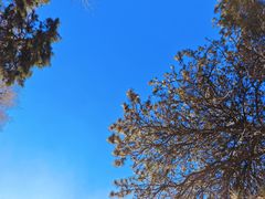 -沈阳辉山风景区