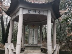 -灵谷景区