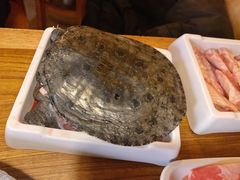 甲鱼-傣妹火锅(四川北路店)