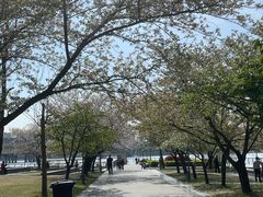 -蠡湖大桥公园