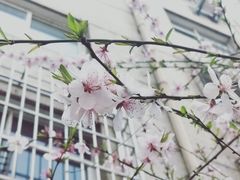 -袁家村关中印象体验地(东方亿象城店)