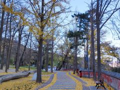 -阳台山自然风景区