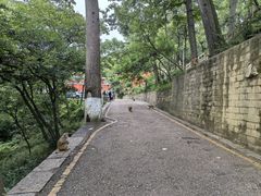 -黔灵山公园