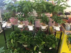 -百安居装修建材卖场(罗湖店)