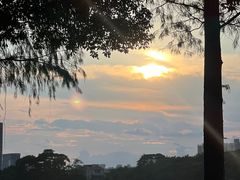 -顺峰山公园