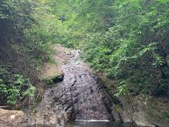 -华溪森林公园-售票处