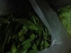 菜-永辉超市(融创茂店)