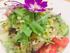 蔬菜沙拉-LUCCA卢卡西班牙海鲜饭(远洋广场店)