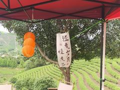 -白茶原·一片叶子