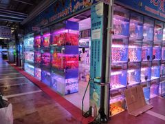 -朝来春花卉市场