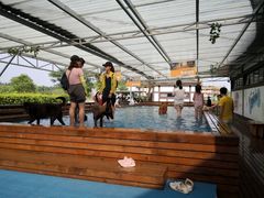 -太阳岛度假酒店